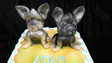 DOGS BIRTHDAY CAKE