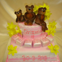 Two Tier Teddys & Daffodil Christening Cake